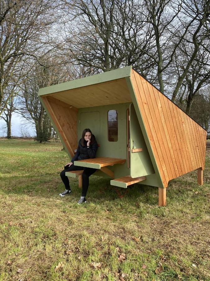 Cabane en Bois