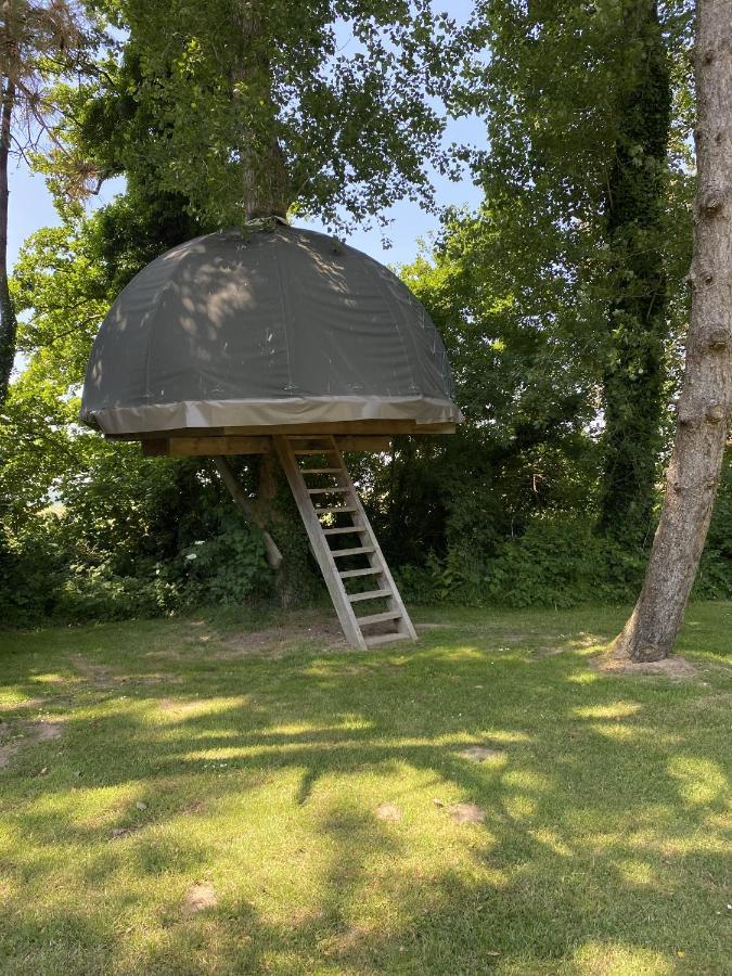 Tente dans les Arbres