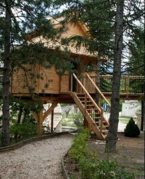 Tree House Hot Tub,19866286:JPEG