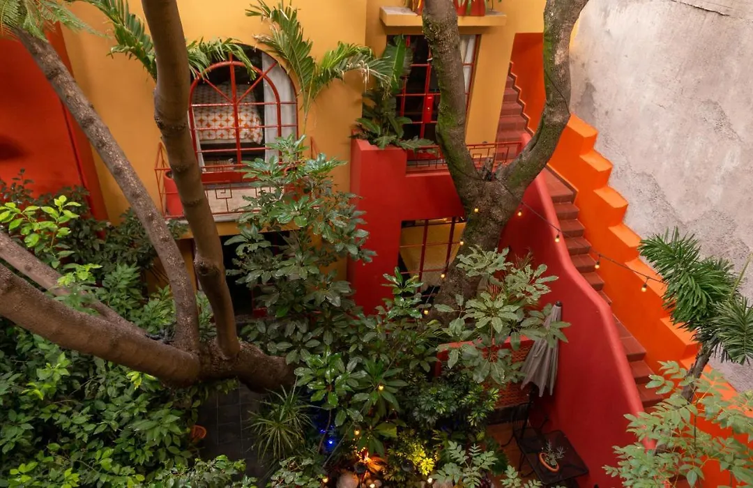 The Red Tree House-1