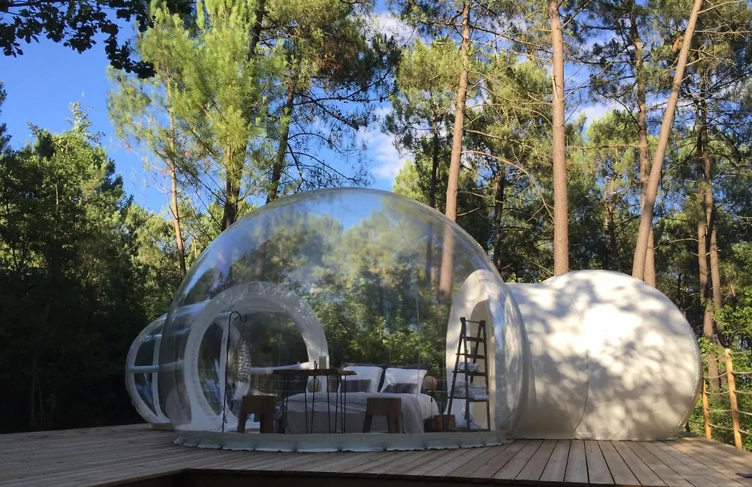 Les Bulles De Bordeaux-1