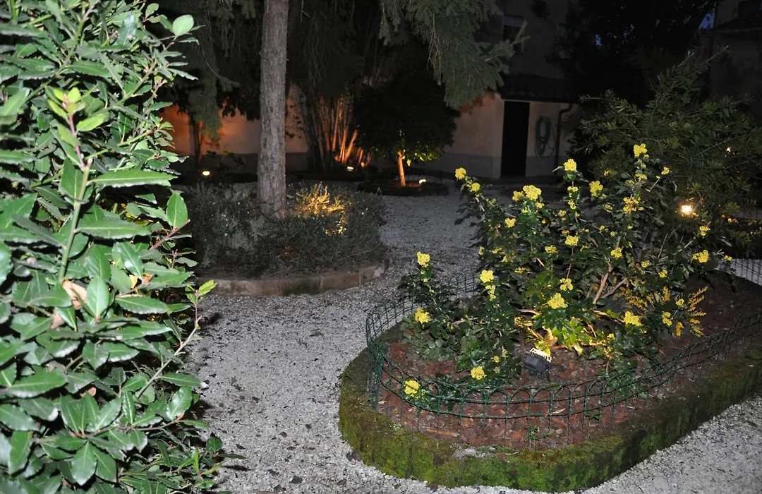 Il Mattino Ha L'Oro In Bocca-1