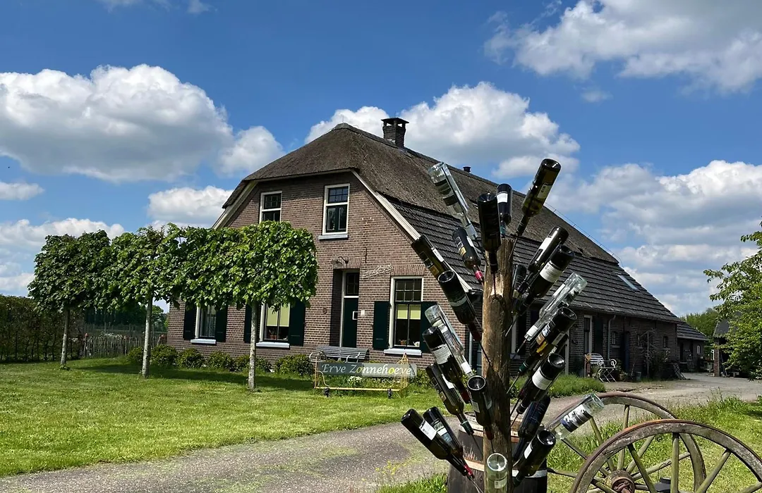 Erve Zonnehoeve B&B en Wijngaard-1