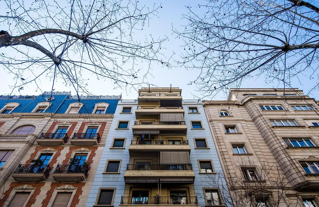 C211 Barcelona - Simaba Group-1