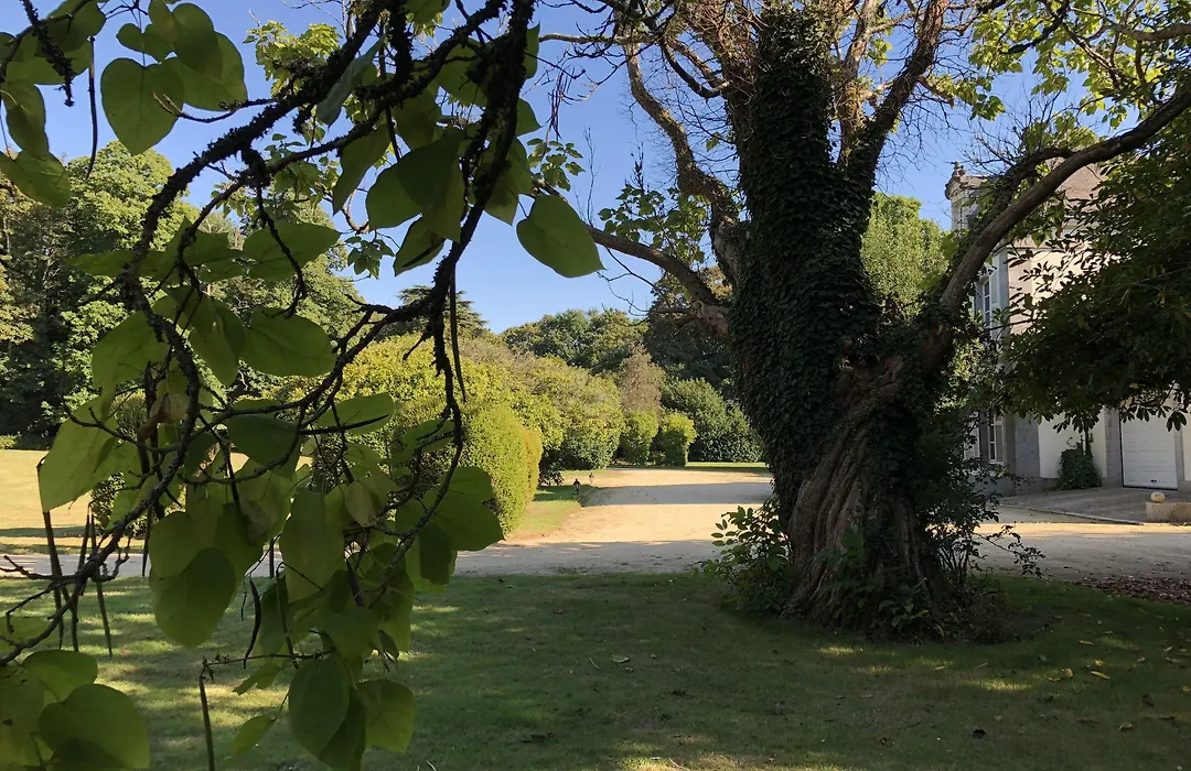 Château de Lannouan-1