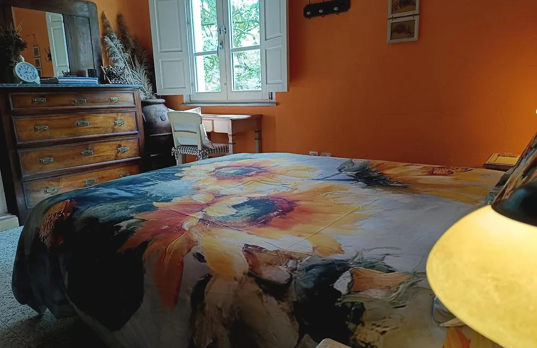 B&B Candalla-1