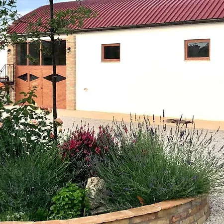Tenuta Morganti-2