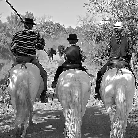 Mas du Menage en Camargue Manade Clauzel-2