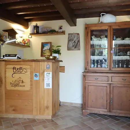 Il paradiso delle beccacce-3
