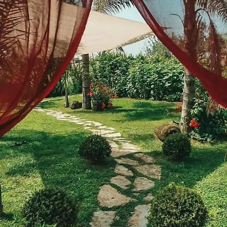 Il Giardino dei Flintstones B&B-3