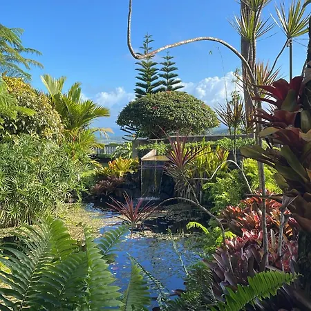 El Yunque Rainforest Inn-2