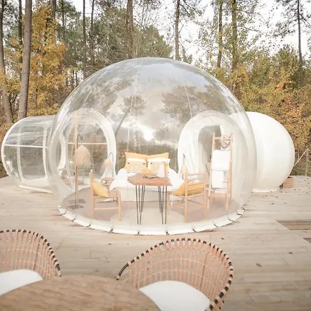Les Bulles De Bordeaux-3