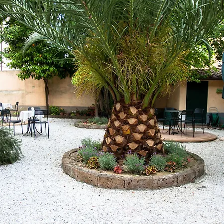 Il Mattino Ha L'Oro In Bocca-3