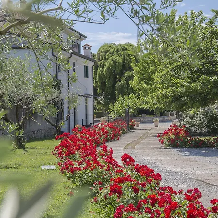 B&B Villa Nichesola-3