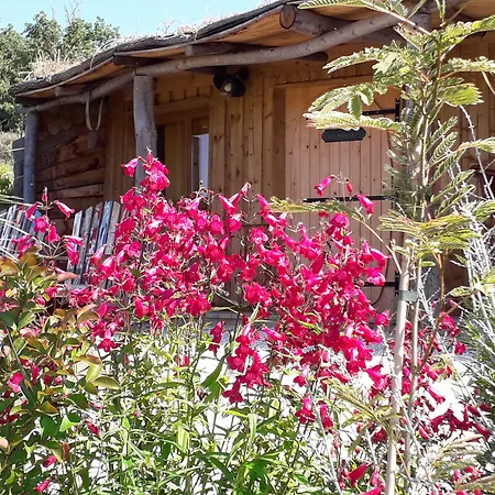 Cabanes Trésors de Campagne,spas privatifs-3