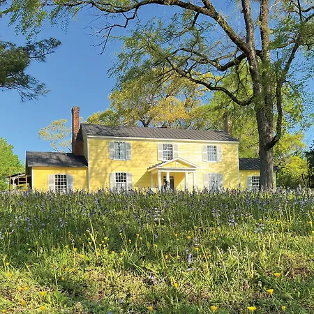 The Sunnyside Sisters Bed And Breakfast-3
