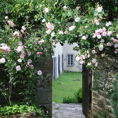Château de Montautre-3
