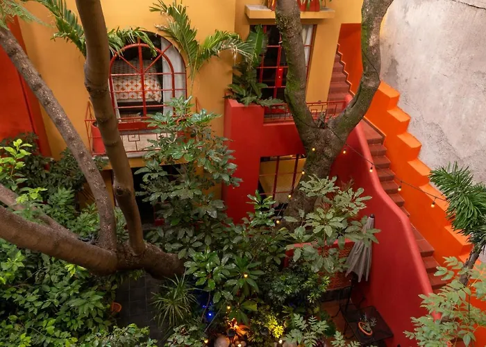 Red Tree House