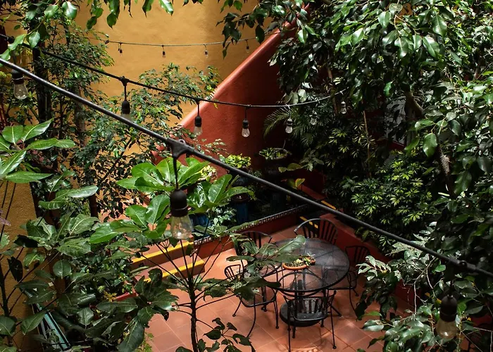 Red Tree House