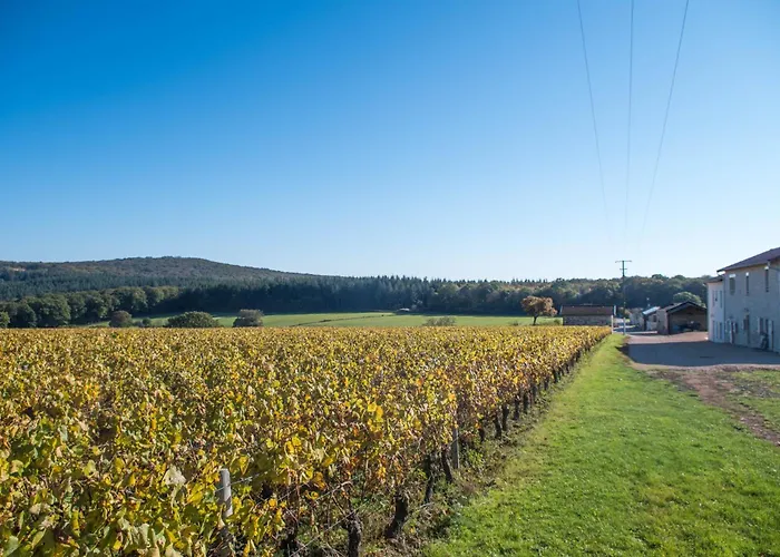 Domaine Joseph Lafarge Wine Resort B&B