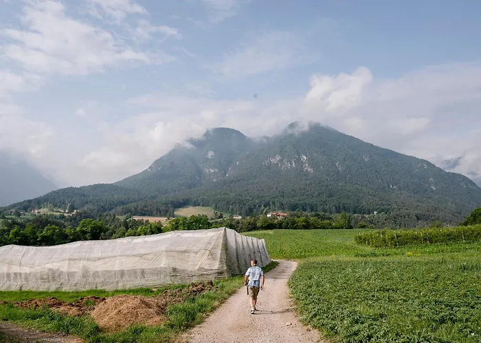 Agriturismo Maso alle Rose Balbido-rango