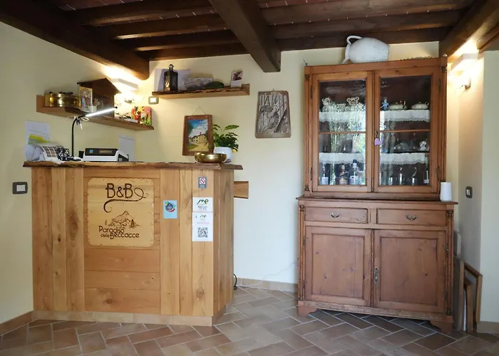 Il paradiso delle beccacce