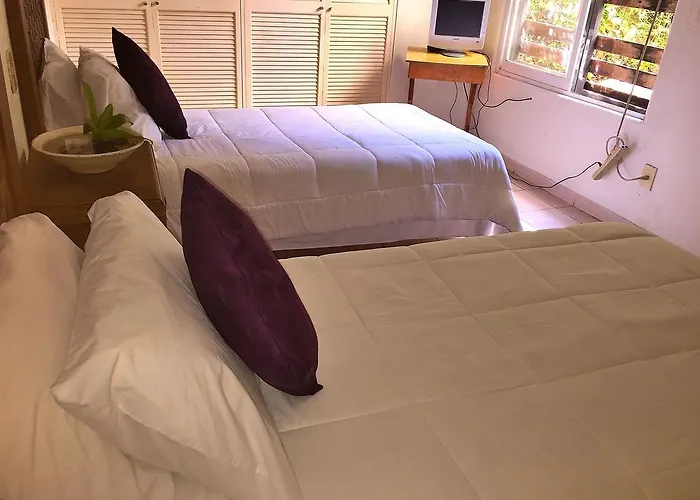Condo Selva Alta