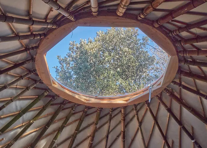 Ecolodges En Provence Saint-Maximin