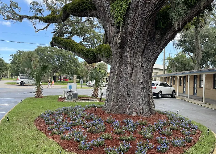 Castillo Inn
