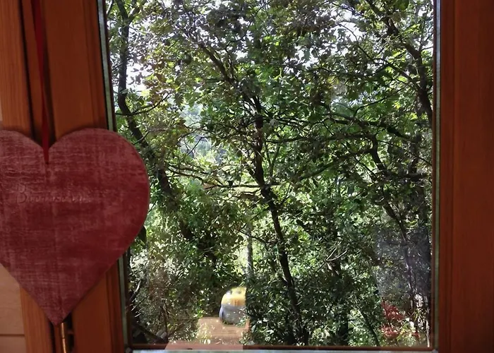 La cabane des amoureux