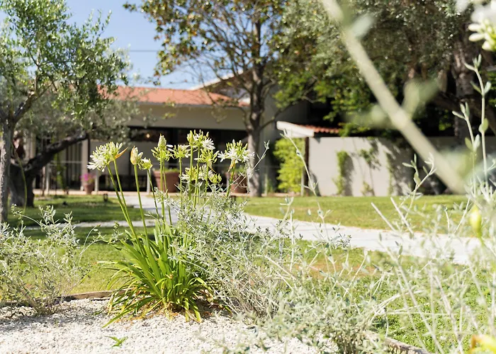 Relais San Baio Bed & Breakfast Cecina 