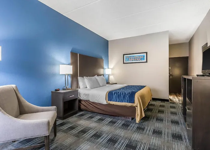 Comfort Inn Cleveland Airport Middleburg Heights