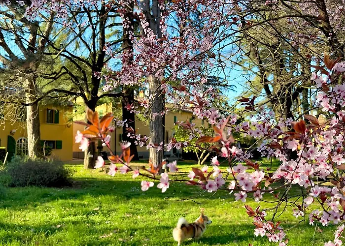 Hotel Ca' Vecchia