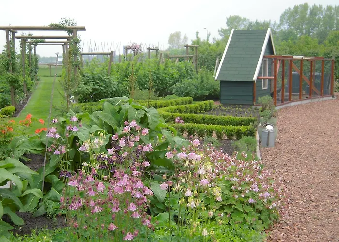 B&B ZomersBuiten Oude Pekela