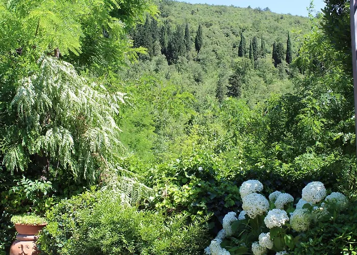 Bed and Breakfast Ulivo Rosso Sesto Fiorentino